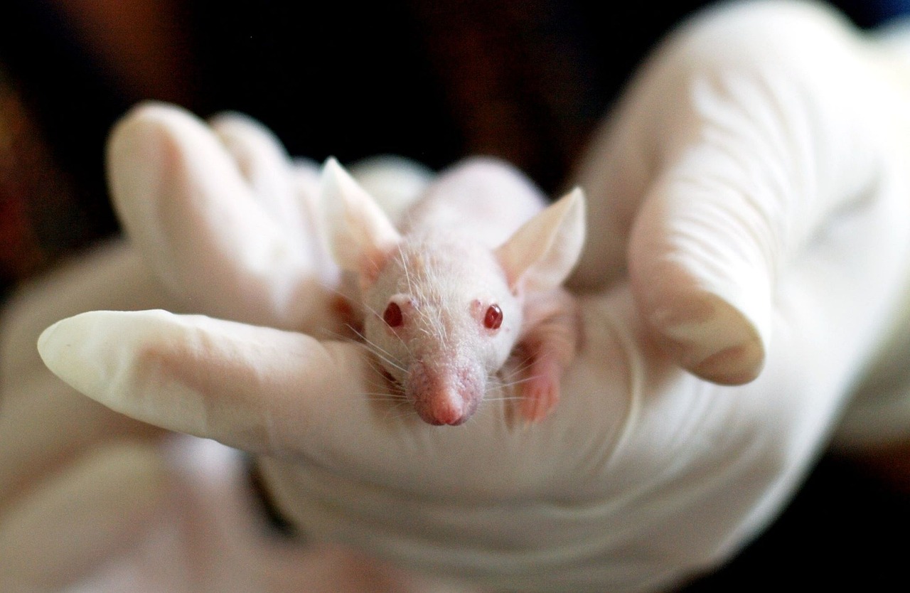 Philosophy in the Age of Synthetic Biology